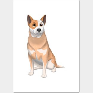 Red Australian Cattle Dog Posters and Art